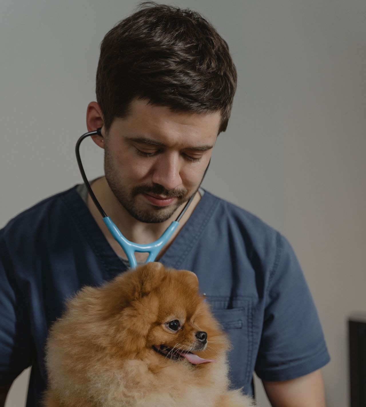 Vétérinaire en consultation avec un chien